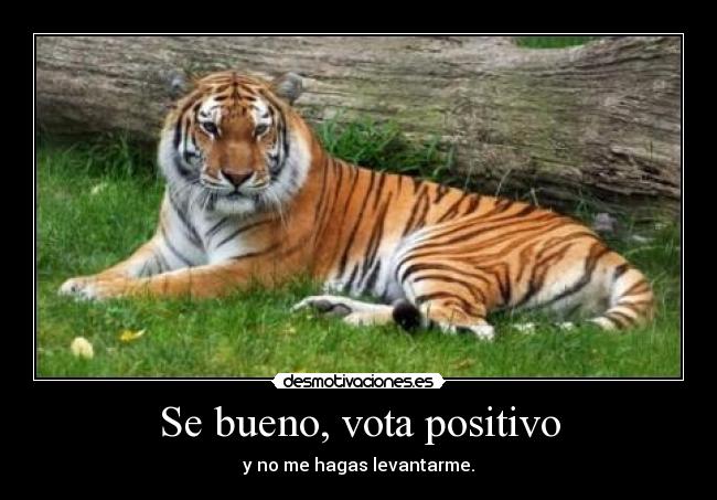 Se bueno, vota positivo -