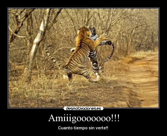 Amiiigooooooo!!! - Cuanto tiempo sin verte!!