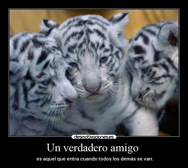 Un verdadero amigo -