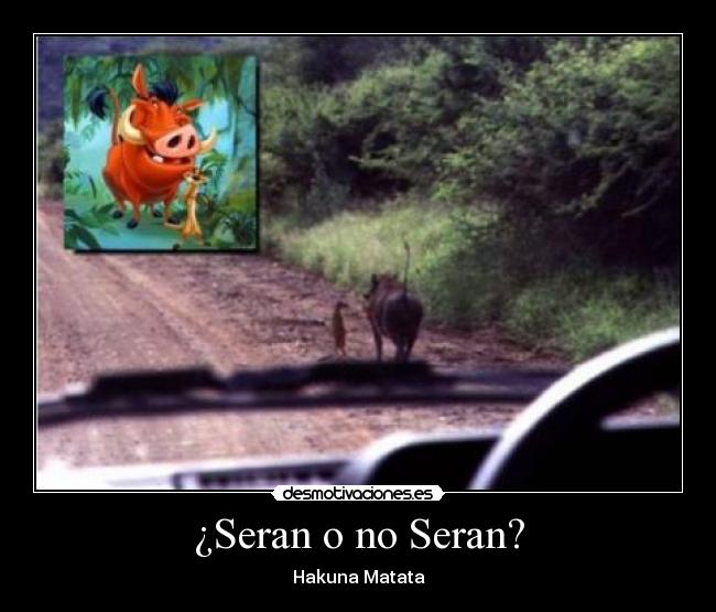 ¿Seran o no Seran? -