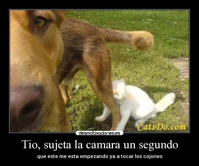 Tio, sujeta la camara un segundo -