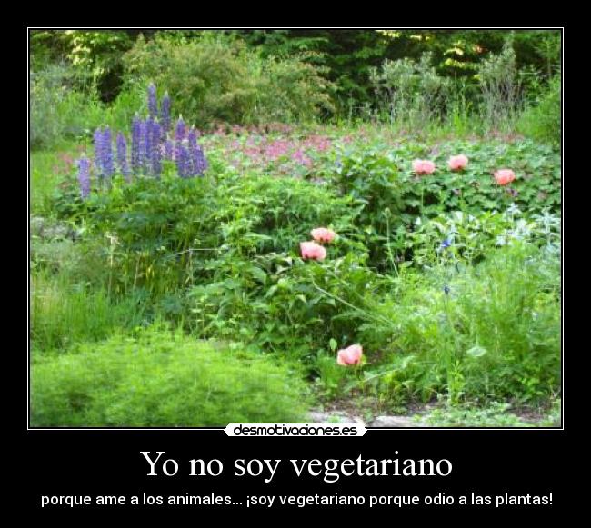 Yo no soy vegetariano - porque ame a los animales... ¡soy vegetariano porque odio a las plantas!