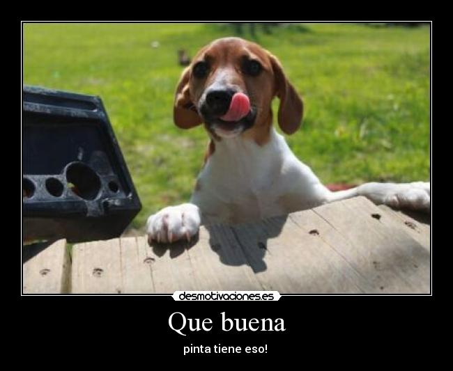 Que buena - pinta tiene eso!