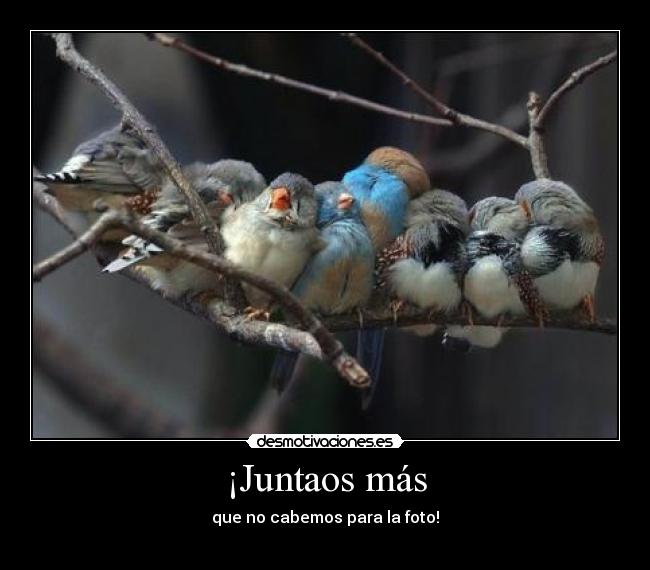¡Juntaos más - que no cabemos para la foto!