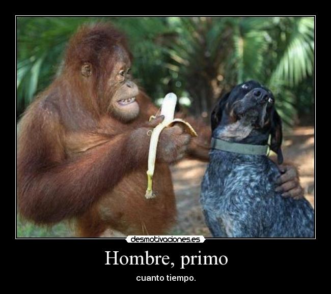 Hombre, primo - cuanto tiempo.