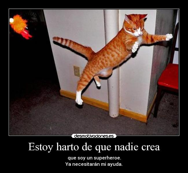 carteles superheroe gato desmotivaciones