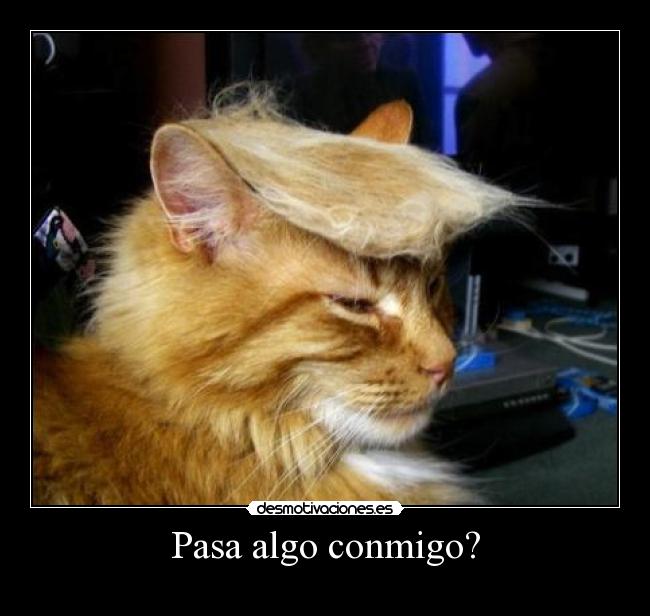 Pasa algo conmigo? -