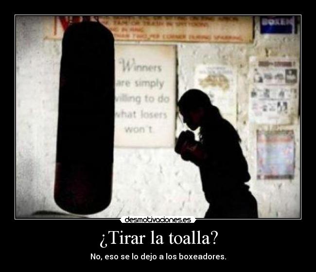 ¿Tirar la toalla? - 