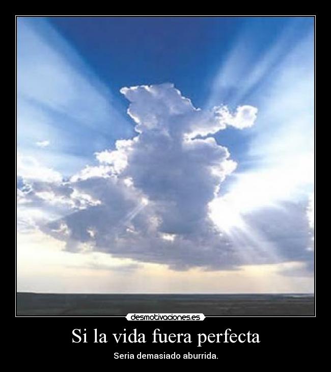 Si la vida fuera perfecta -