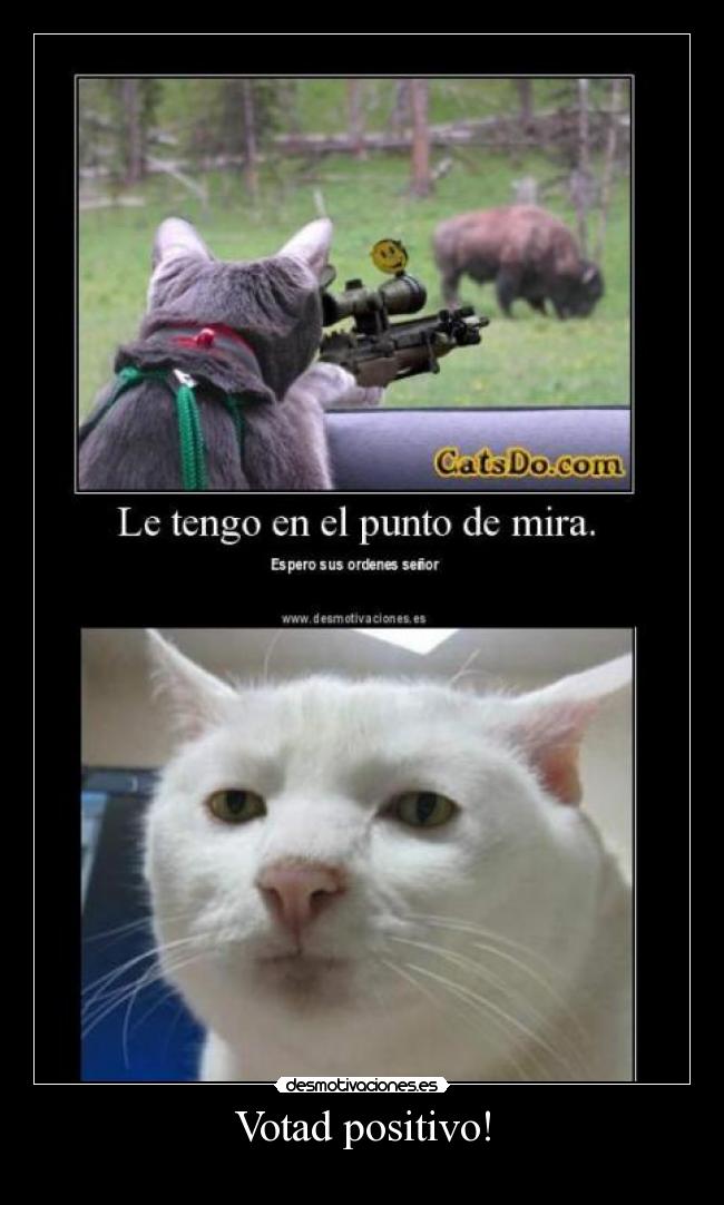 Votad positivo! -
