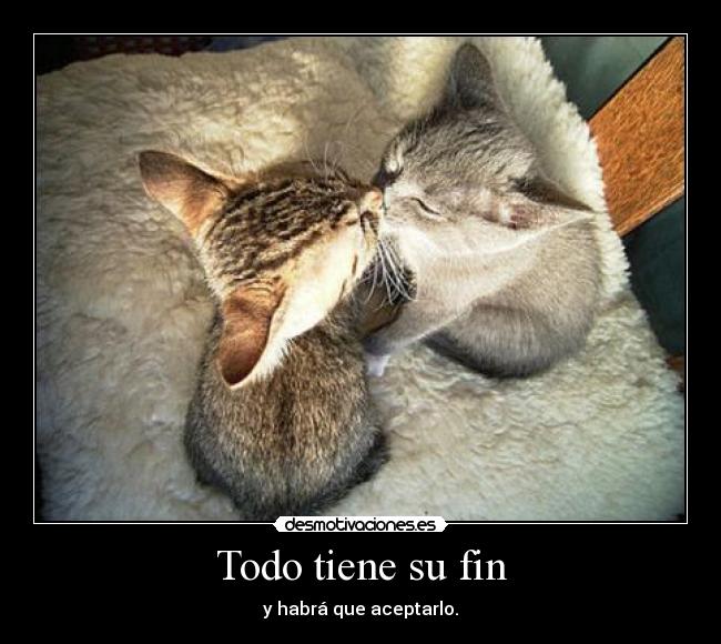 Todo tiene su fin -