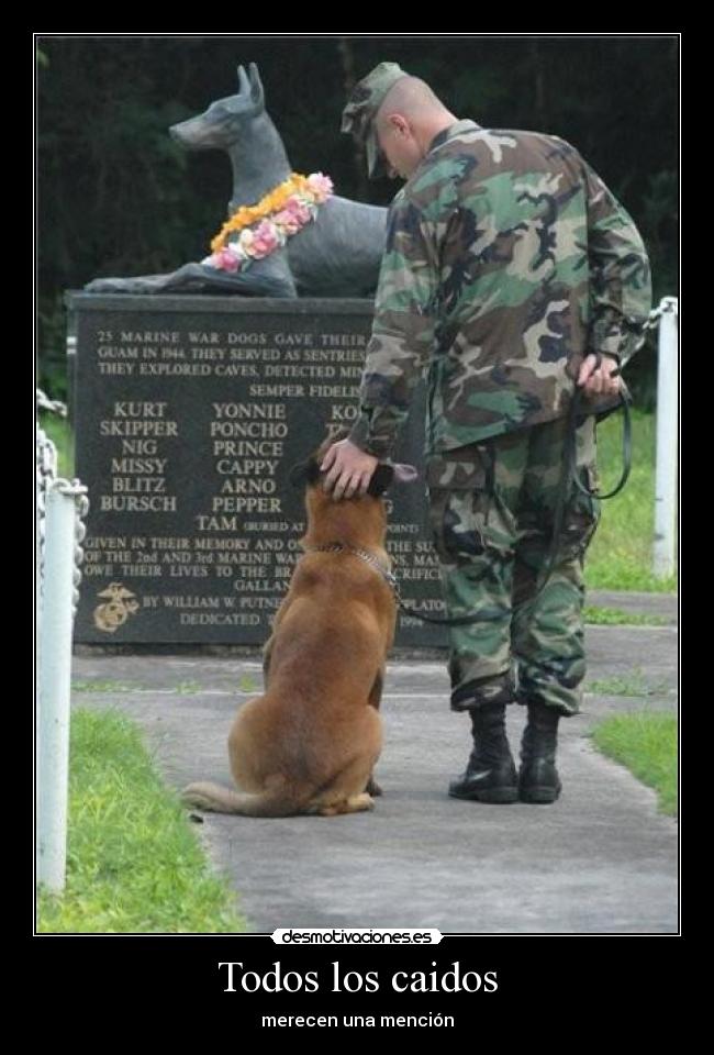 Todos los caidos - 