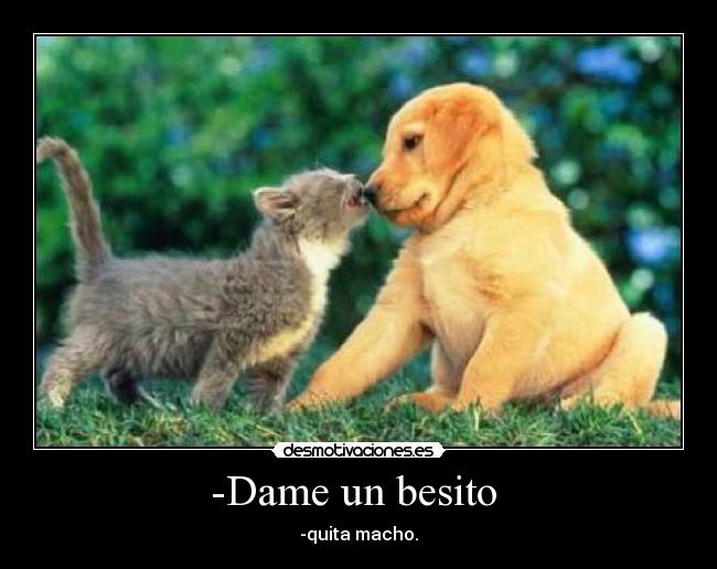 -Dame un besito - -quita macho.