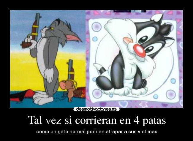 carteles gatoscorrer patas silvestre tom jerry piolin desmotivaciones