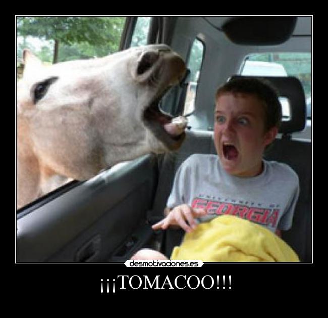 ¡¡¡TOMACOO!!! -
