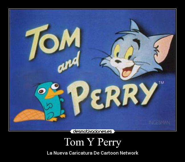 Tom Y Perry - 