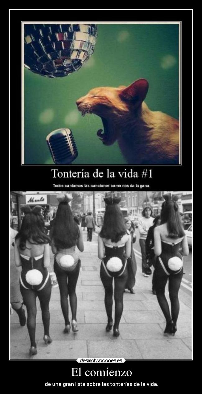 carteles tonterias vida desmotivaciones