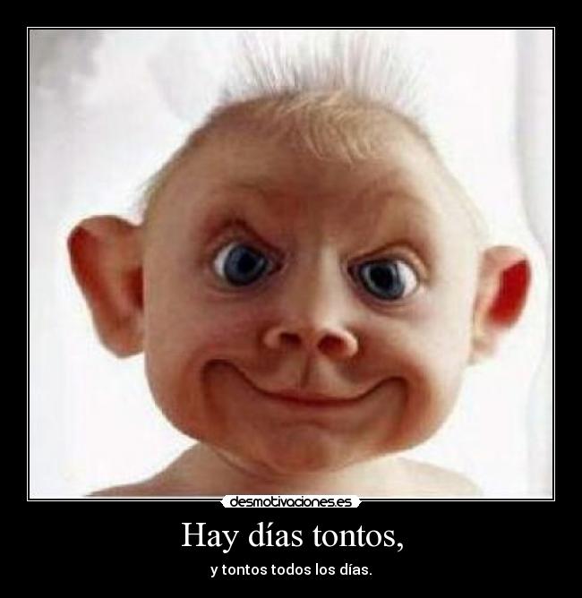 Hay días tontos, - y tontos todos los días.
