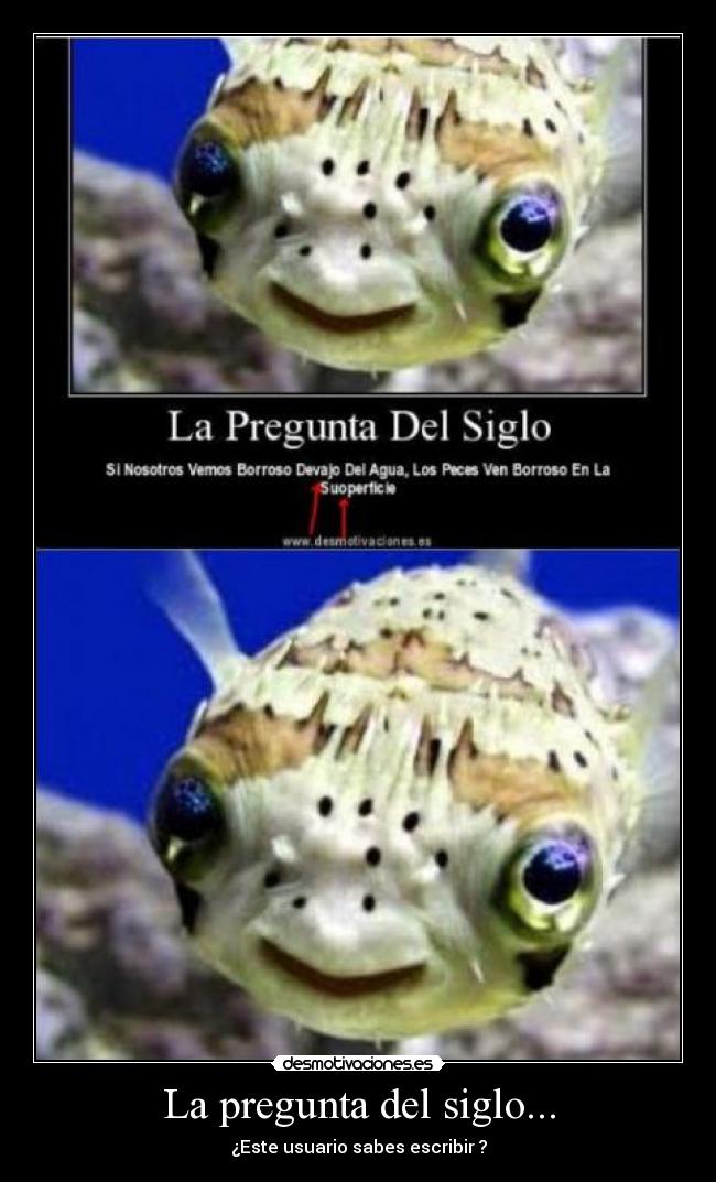 La pregunta del siglo... - ¿Este usuario sabes escribir ?
