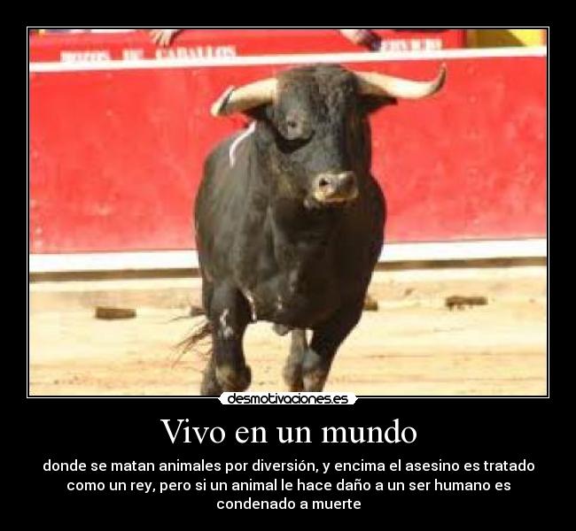 Vivo en un mundo - donde se matan animales por diversión, y encima el asesino es tratado
como un rey, pero si un animal le hace daño a un ser humano es
condenado a muerte