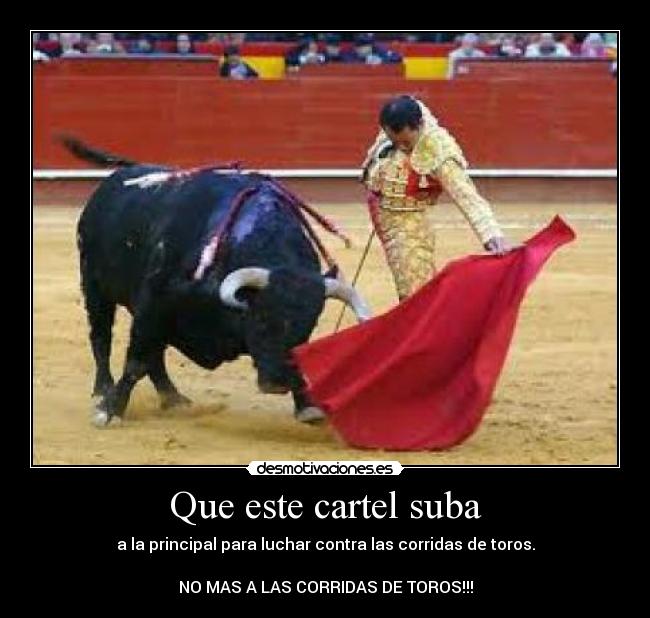 Que este cartel suba - a la principal para luchar contra las corridas de toros.
NO MAS A LAS CORRIDAS DE TOROS!!!