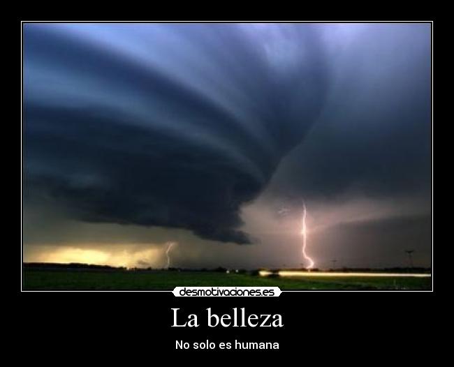 La belleza -