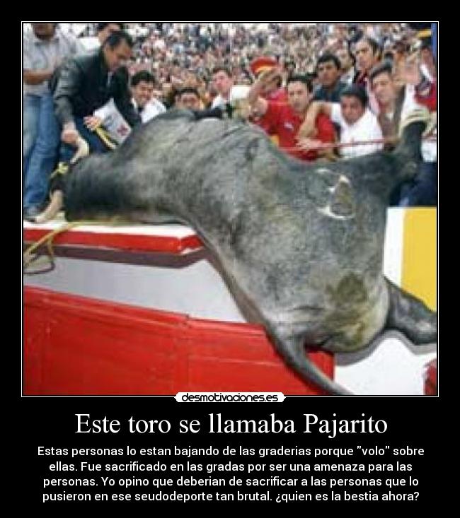 Este toro se llamaba Pajarito - 