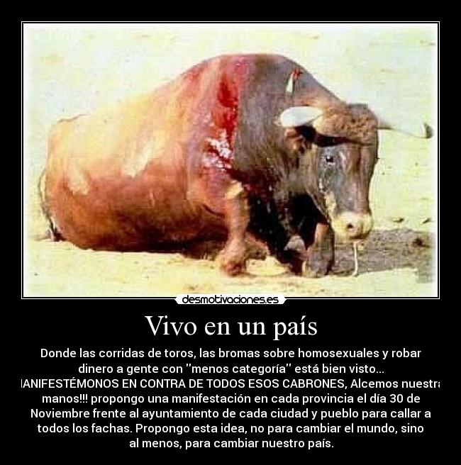 Vivo en un país - Donde las corridas de toros, las bromas sobre homosexuales y robar
dinero a gente con menos categoría está bien visto...
MANIFESTÉMONOS EN CONTRA DE TODOS ESOS CABRONES, Alcemos nuestras
manos!!! propongo una manifestación en cada provincia el día 30 de
Noviembre frente al ayuntamiento de cada ciudad y pueblo para callar a
todos los fachas. Propongo esta idea, no para cambiar el mundo, sino
al menos, para cambiar nuestro país.