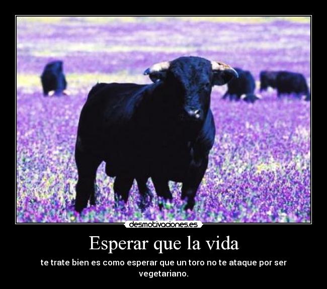 Esperar que la vida - 