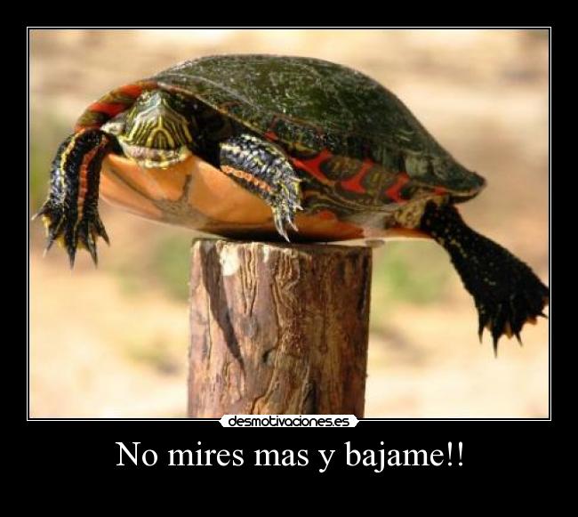 No mires mas y bajame!! - 