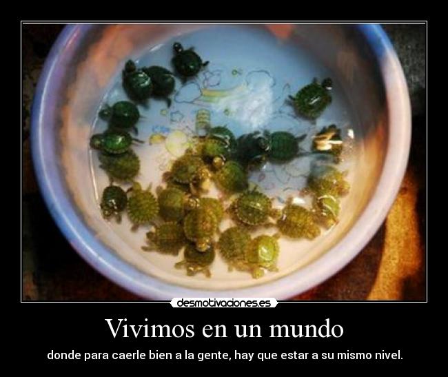 Vivimos en un mundo - 