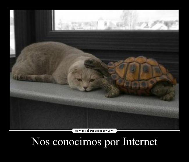 Nos conocimos por Internet - 