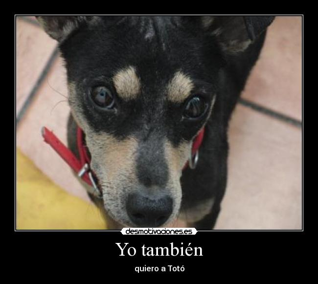 Yo también - quiero a Totó