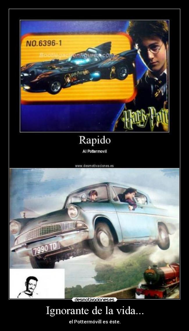 Ignorante de la vida... - 