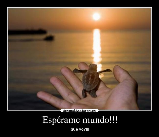 Espérame mundo!!! - que voy!!!