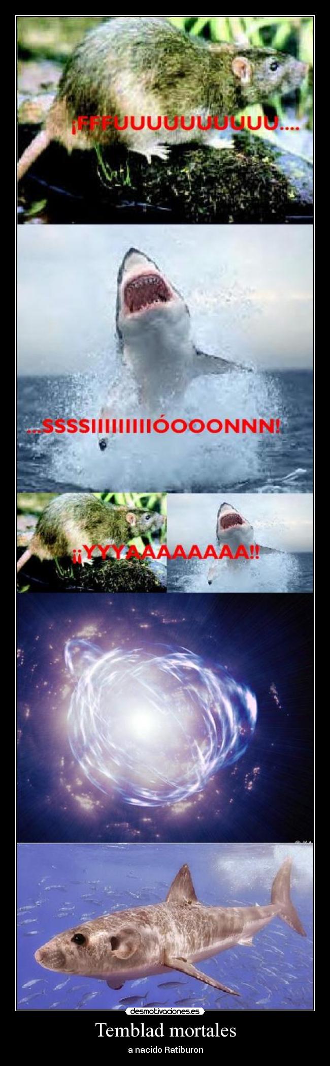 carteles temblad mortales nacido ratiburon desmotivaciones