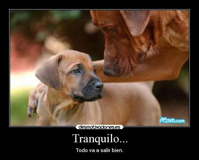 Tranquilo... -