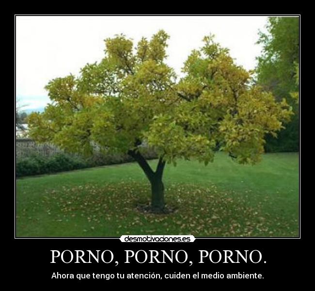 PORNO, PORNO, PORNO. - Ahora que tengo tu atención, cuiden el medio ambiente.