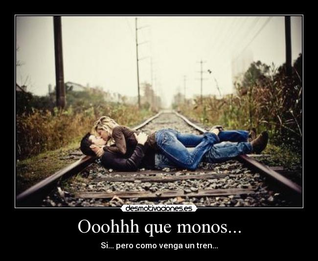 Ooohhh que monos... -