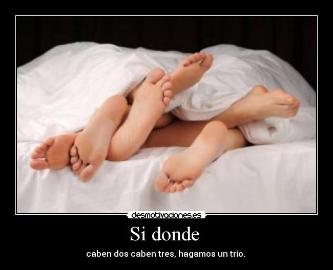 Si donde  - 