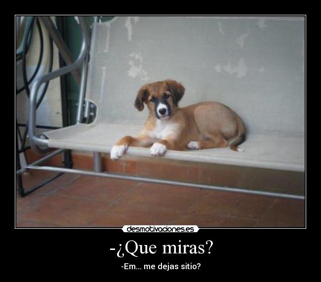 -¿Que miras? - -Em... me dejas sitio?