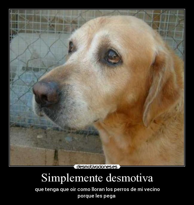 Simplemente desmotiva - que tenga que oir como lloran los perros de mi vecino
porque les pega