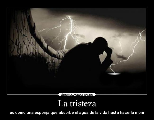 La tristeza - es como una esponja que absorbe el agua de la vida hasta hacerla morir