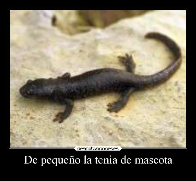 De pequeño la tenia de mascota - 