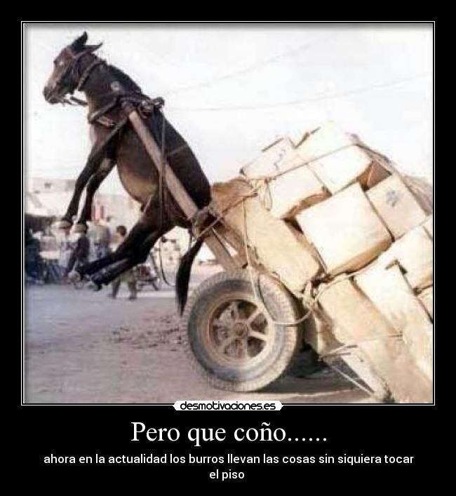 Pero que coño...... - 