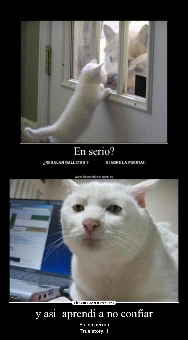 y asi aprendi a no confiar -