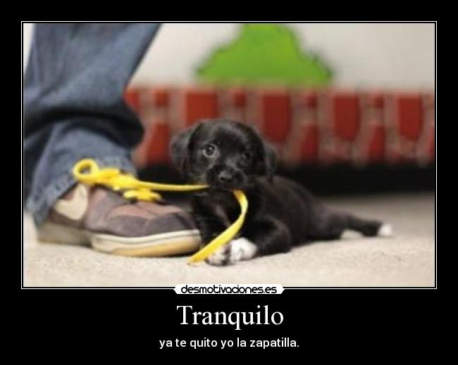 Tranquilo - 