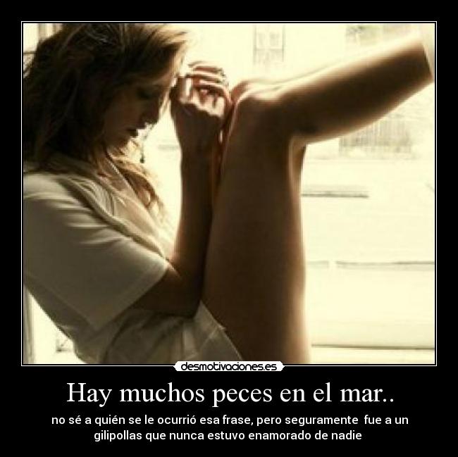 Hay muchos peces en el mar.. -