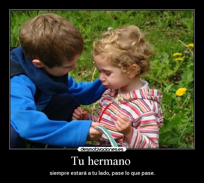 carteles hermanos desmotivaciones