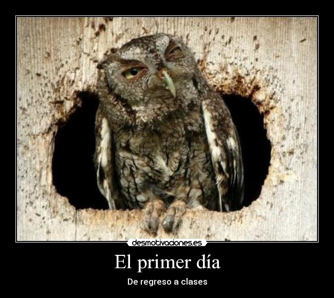 El primer día - 